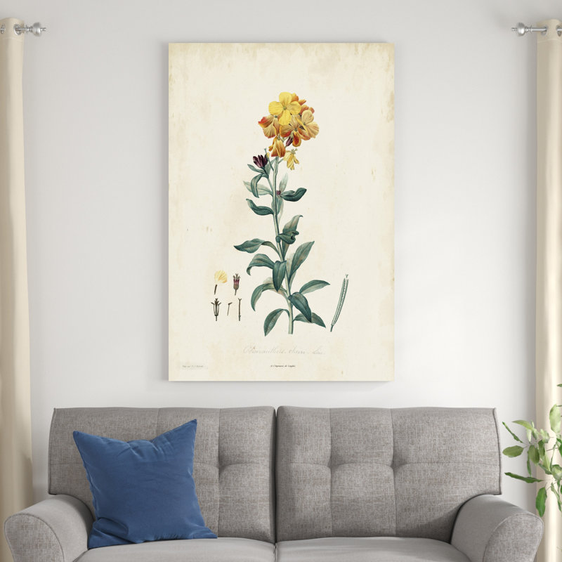Traditionnel botanique III, H 48 po x l 32 po x P 1,25 po