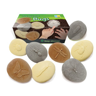 Yellow Door Let''s Investigate Bugs Stone, Pack Of 8