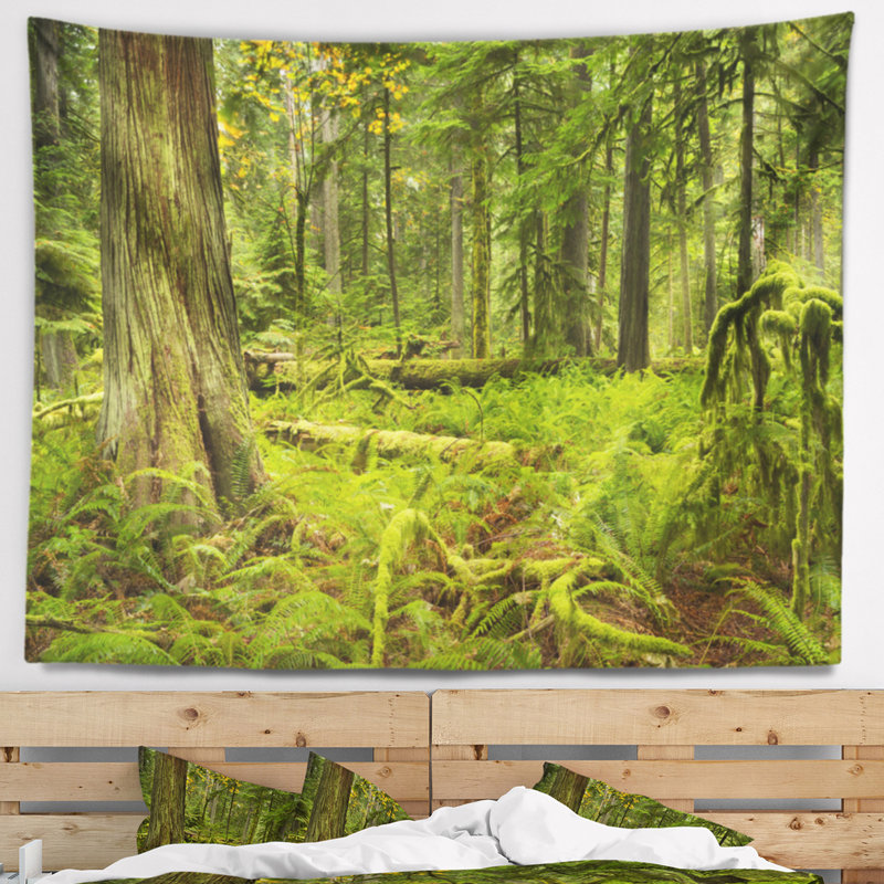 Paysage avec forêt tropicale luxuriante et cathédrale Grove, H 78 po x l 92 po
