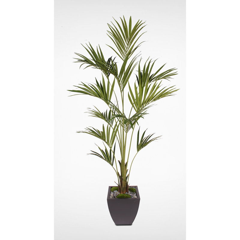 Arbre à palmier en soie en pot kentia