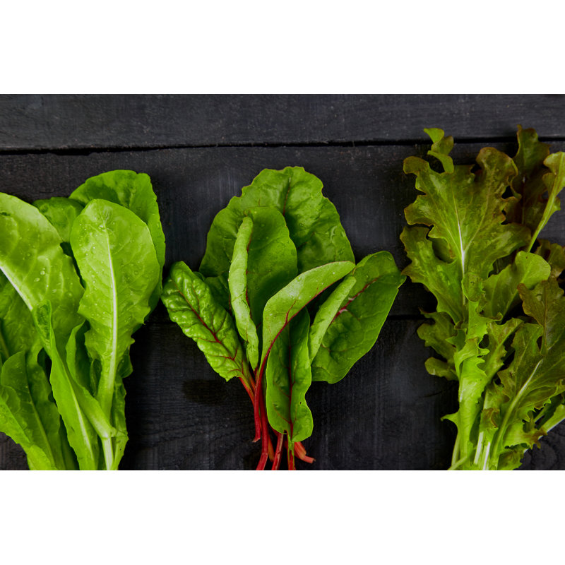 Leaf Salad by Bondarillia - Wrapped Canvas Print, 20cm H x 30cm W x 3.8cm D