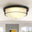 2-Lamp Black Dimmable Glass Iron Industrial Ceiling Light