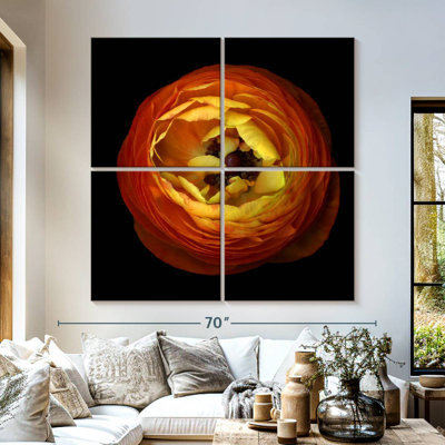 Harnek Ranunculus Orange III