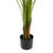 Artificial Palm Tree-1872302222