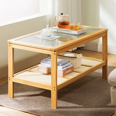 Schniepp 39.4" Rectangle Coffee Table