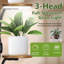 Plant Stand - Set of 7