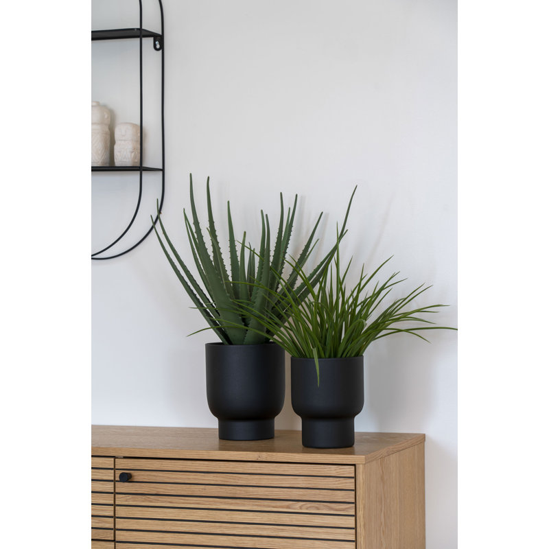 Annatina 45cm Grass Plant