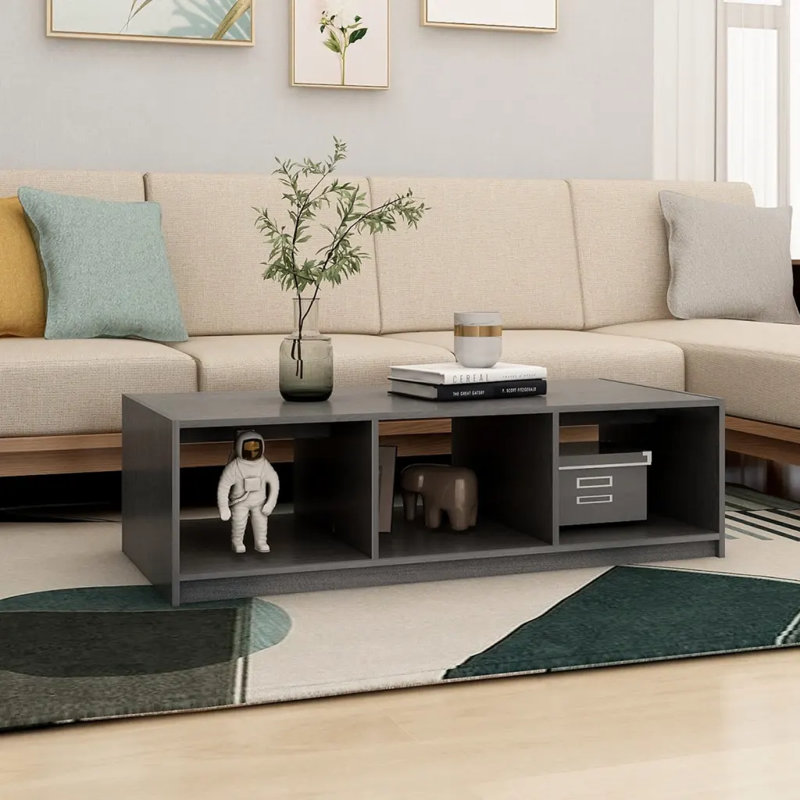 Gerno Solid Coffee Table with Storage, Grey