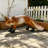 Lifelike Red Fox Figurine, 19.69\