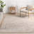 Gena Distressed Transitional Medallion Area Rug-1756248395