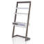 Revis Leaning / Ladder Desk
