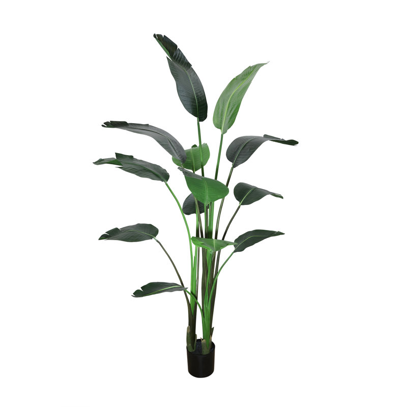 6' Bird of Paradise Tree with Bamboo Planter