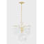 Darcia 5 Light Chandelier