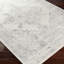 Off White Traditional Rug, Bordered Floral Stain Resistant Rug For Living Room, Dining Room, Bedroom-1003810239