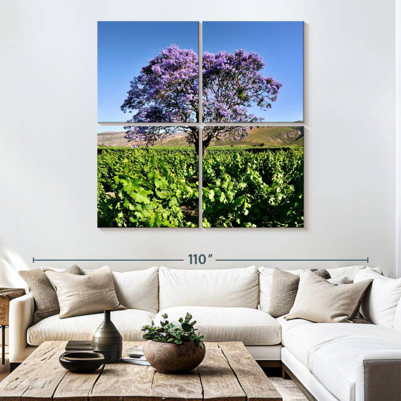 Harnek Jacaranda Tree
