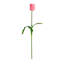 25in. Artificial Tulip Flower Stems, Set of 3-1576662737