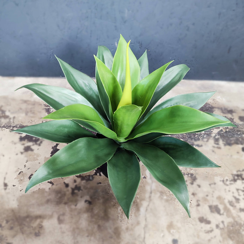 Agave artificielle Sansevieria