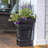 Step 2 Atherton Self-Watering Planter Box-305918580-305918586