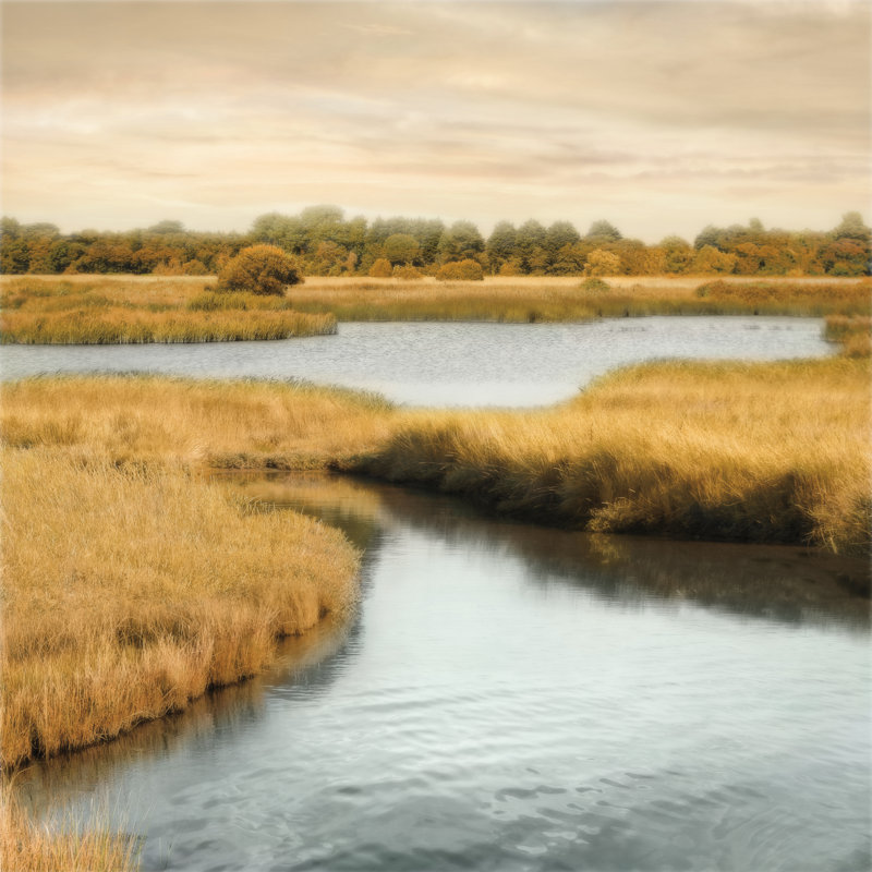 Morning Calm II by John Seba - Wrapped Canvas Print, 30cm H x 30cm W