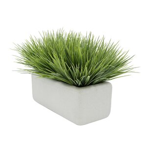 Artificial Onion Grass in Planter