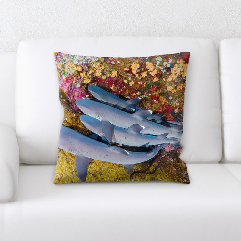 Coussin Dasamian