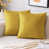 Ochre