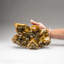 Golden Barite Crystals From Nandan County, Hechi, Guangxi, China