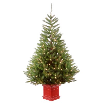 Entrance Green Spruce Artificial Christmas Tree with Clear/White Lights -  The Holiday Aisle®, 0895CB5242F54A6EA7EE3E7E75EC4D54