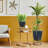 Set of 2 Concrete Effect Round Flower Pots on Metal Stands, Round Indoor Plant Pot Stands for Indoor Plants: D24 H35 cm, with Inner Top D20 cm + D30 H50 cm, with Inner Top D26 cm