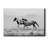 " Tooele County Duo "-27189718