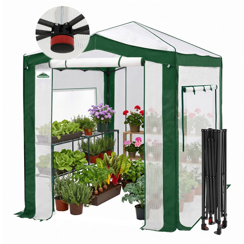 6' W x 8' D Hobby Greenhouse, White/Green