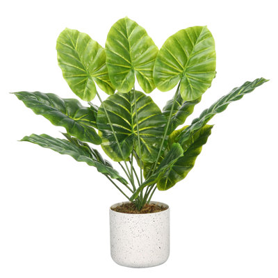 Ensemble de 2 figuiers de figuier artificiels réalistes en pots blancs - Plantes décoratives vertes artificielles pour la maison et le bureau