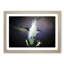 Hummingbird Bird in Flight in Abstract - Picture Frame Painting Print-55763870-55763874
