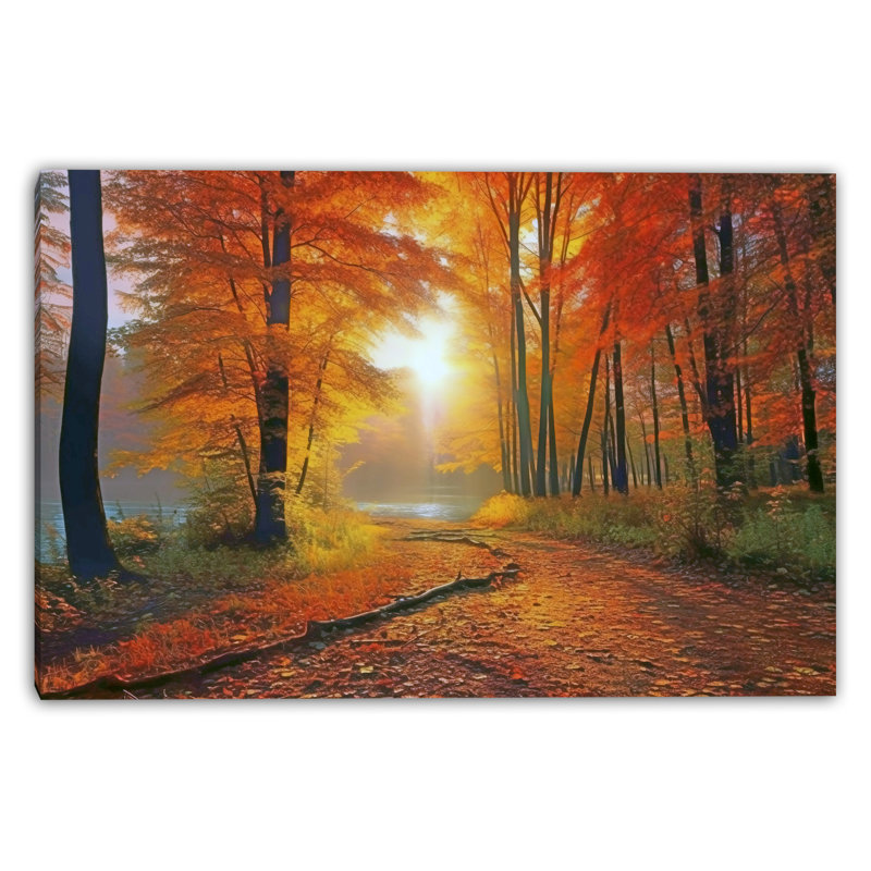 Sunlit Forest Glow Wrapped Canvas Wall Art, 12" H x 16" W