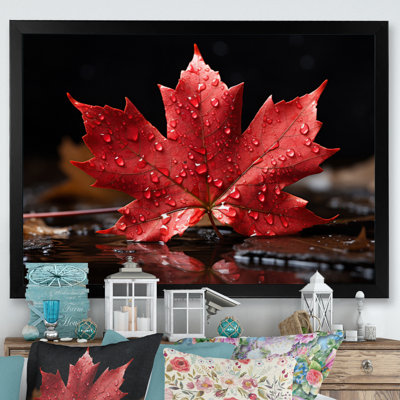 Canada Canada Pride III