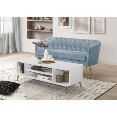 Nady 57.7 Reception Loveseat with Storage Coffee Table
