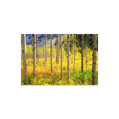 " Autumn Landscape, Rocky Mountains, Colorado, USA " by Christopher Talbot Frank