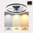 Dusen 19.7 in. Ceiling Fan with LED Lights