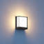 LED Outdoor Wall Light L 40 C, Dimmable and Networkable via App
