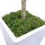 Arbre d'eucalyptus artificiel Paislee, faux eucalyptus avec grande jardinière blanche, feuilles réalistes-344450664