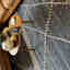 Photos des clients 2 de 4