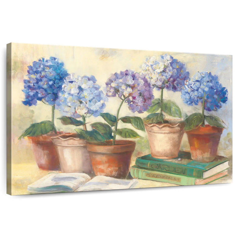 Hortensias Harnek Gardeners, H 16 po x l 24 po