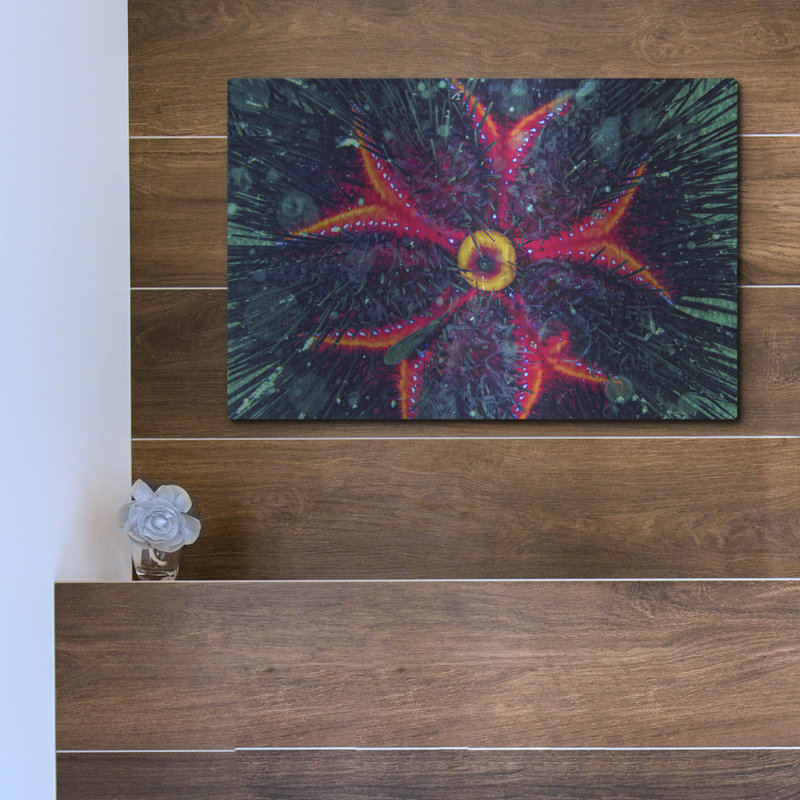 «Sea Urchin Underwater», mur en métal, H 12 po x l 16 po