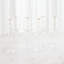 S/6 Celebration Champagne Glasses-Clear W/Gold Dots