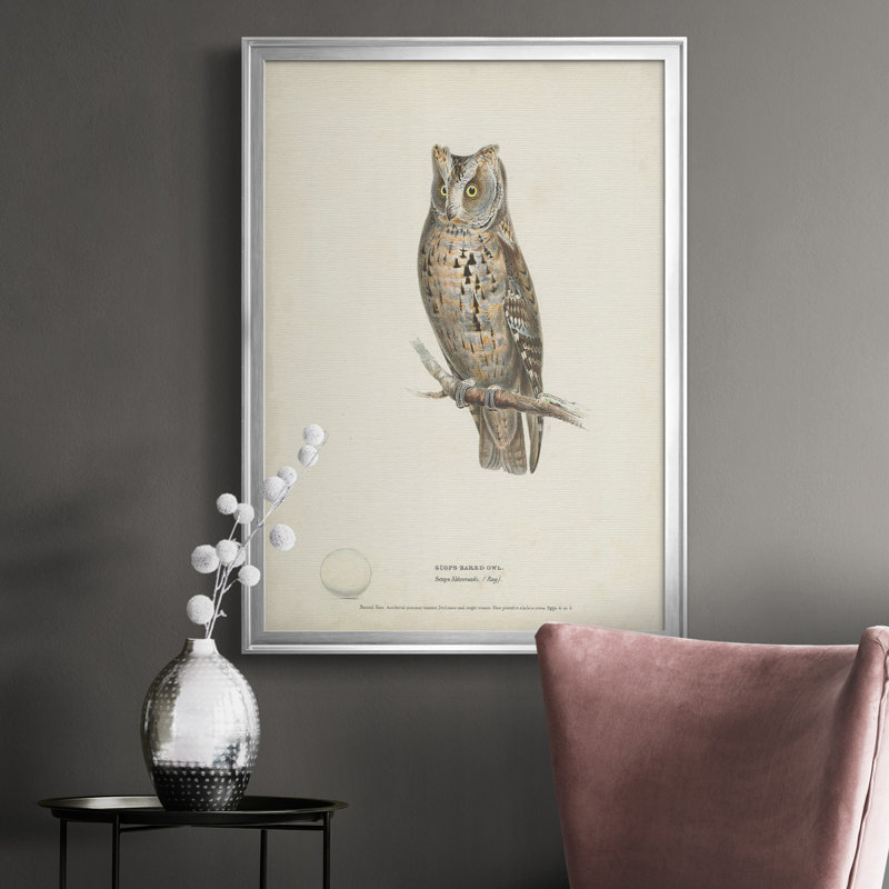Scops - Toile encadrée de qualité supérieure - prêt à accrocher, H 36,5 po x l 26,5 po x P 1 po, Argent