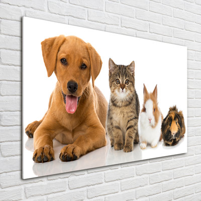 Dog And Cat - Unframed Art Prints on Glass