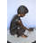 Boy Push Turtle Bronze Statue Fountain -  Size: 18"L x 20"W x 19"H.