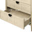 Armoire 3 tiroirs, chambre à coucher, salon, bureau, American Aura, capacité de charge de 140 livres, collé, aspect grain de bois, rails coulissants préinstallés, style antidérapant, surface teinte manuellement,