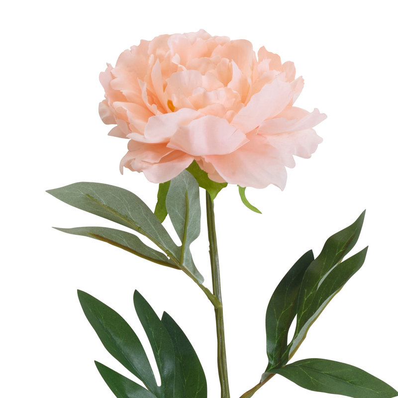 Éléments, pivoines artificielles, 6 pièces, 18 po