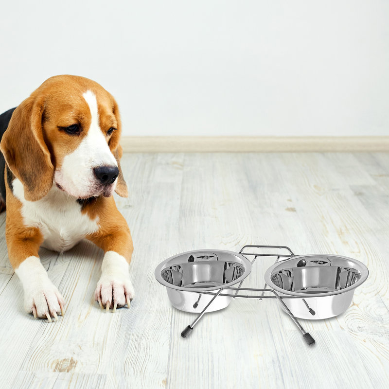 Bol double pour animaux avec support
